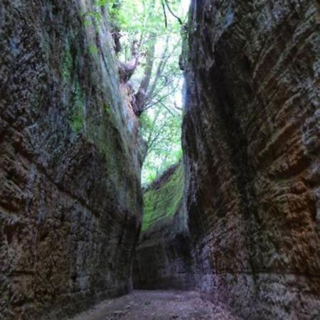 La Casa All'Oliveto Пітільяно Екстер'єр фото