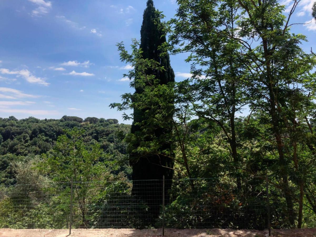 La Casa All'Oliveto Пітільяно Екстер'єр фото